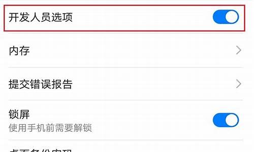 华为手机开发者选项打开方法怎么设置的_华为手机开发者选项打开方法怎么设置